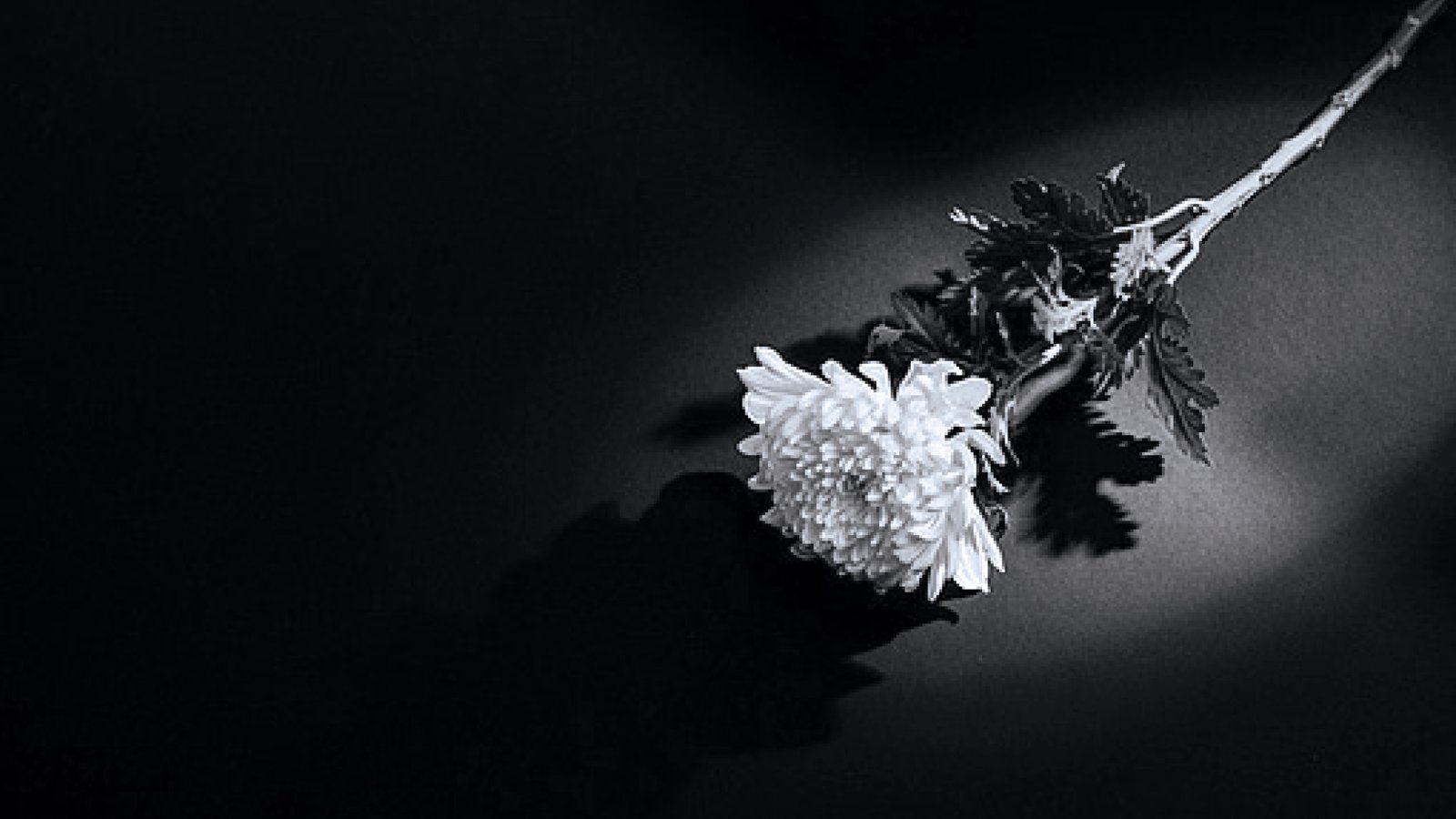 Que as vítimas do desastre do avião da Jeju Air descansem em paz